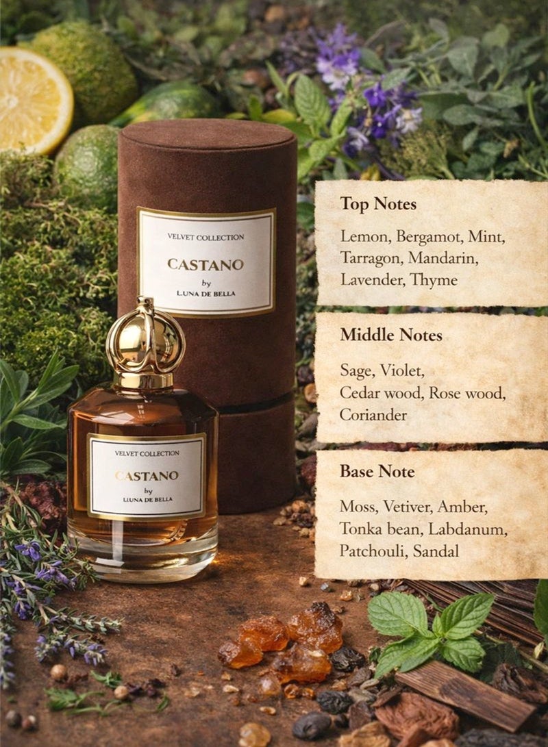 Linea De Bella Velvet Castano EDP 100 ML - Image 2